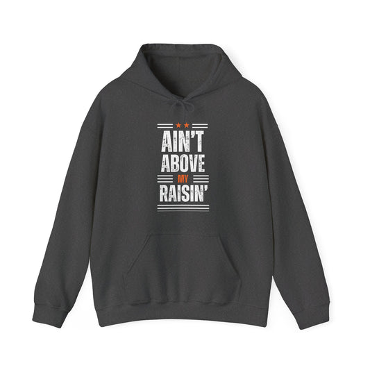 "Ain't Above My Raisin'" Hooded Sweatshirt